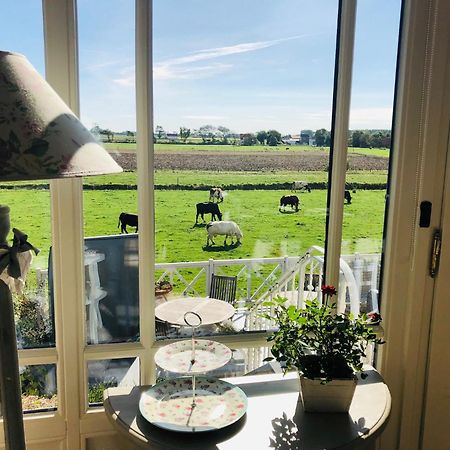 Bed & Breakfast Het Zilte Zand - Luxe Ontbijt - Gratis Parking - Westende Middelkerke Eksteriør billede